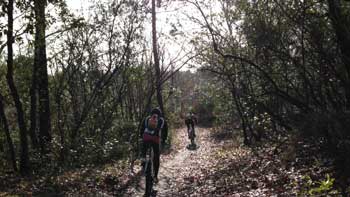 cycles & nature - ocean oxygene, 3 heure de vtt, club de vtt situé a Arcachon, 2014