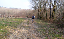 cycles et nature : magasin de vente et de reparation de velo a bordeaux, bmc supertrail st01 test