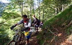 cycles et nature : magasin de vente et de reparation de velo a bordeaux, enduro du bearn