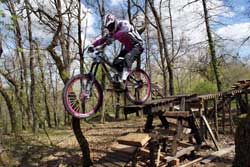 cycle, cycles et nature : magasin de vente et de reparation de velo a bordeaux trek session 88