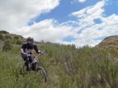 la team cycles et nature aux bardenas !!!