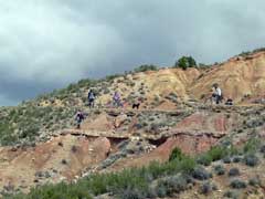 la team cycles et nature aux bardenas !!!