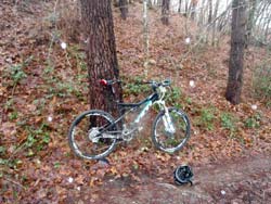 cycles et nature : magasin de vente et de reparation de velo a bordeaux, gurp vtt