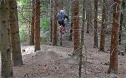 cycles et nature : magasin de vente et de reparation de velo a bordeaux, lourdes pic du jer