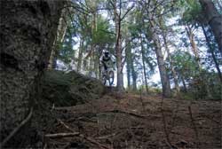 cycles et nature : magasin de vente et de reparation de velo a bordeaux, lourdes pic du jer