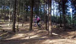 cycles et nature : magasin de vente et de reparation de velo a bordeaux, lourdes pic du jer