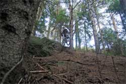 cycles et nature : magasin de vente et de reparation de velo a bordeaux, lourdes pic du jer