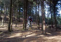 cycles et nature : magasin de vente et de reparation de velo a bordeaux, lourdes pic du jer