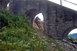 cycles et nature : magasin de vente et de reparation de velo a bordeaux, lourdes pic du jer