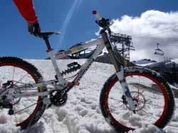 cycles et nature au mondial du vtt des 2 alpes