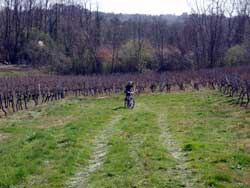 cycles et nature : magasin de vente et de reparation de velo a bordeaux, Randonnée des 7 clochers, quinsac