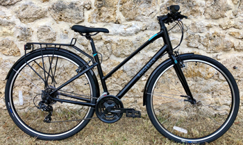 Ridgeback velocity 2012 hotsell