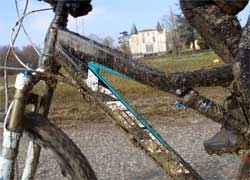 cycle, cycles et nature : magasin de vente et de reparation de velo a bordeaux, vtt yeti asr5, sram xx