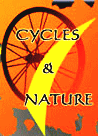 cycles et nature : magasin de vente et de reparation de velo a bordeaux, look cycle